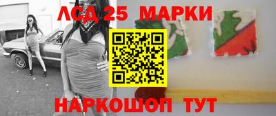 гидропоника Кингисепп