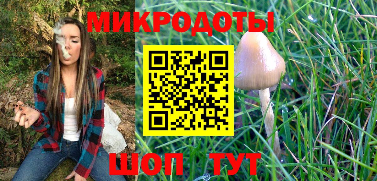 Галлюциногенные грибы Magic Shrooms Шали