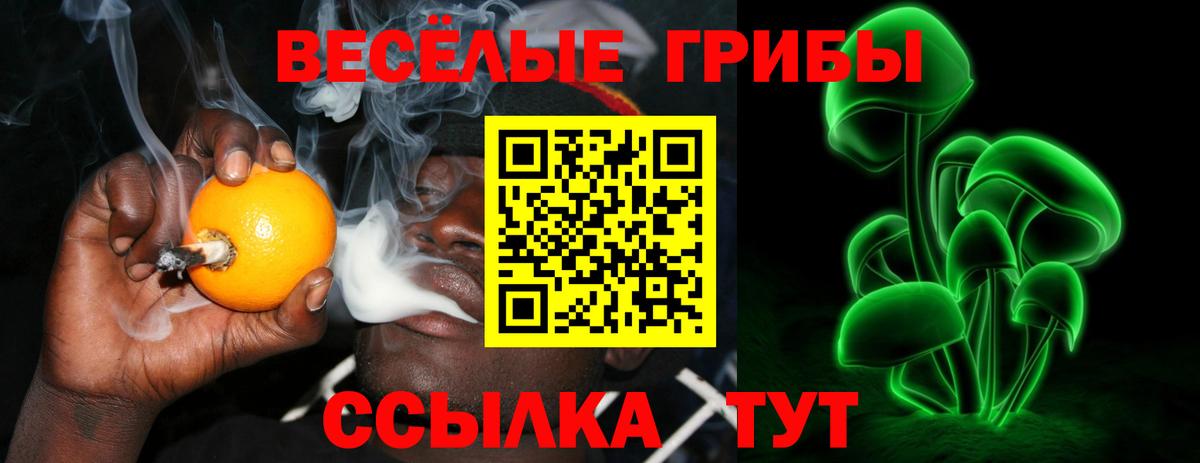 Галлюциногенные грибы ЛСД  Галлюциногенные грибы Psilocybine cubensis  Вход с VPN  Шали 